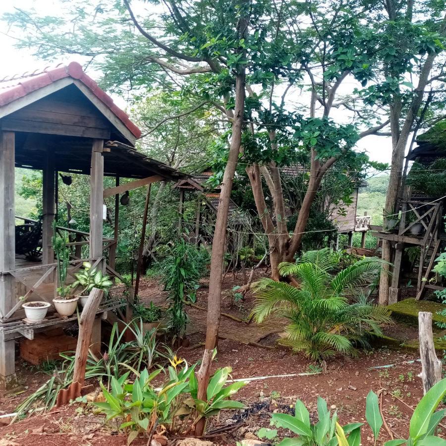 Quiet Garden View Lodge&Trekking Banlung Exteriör bild