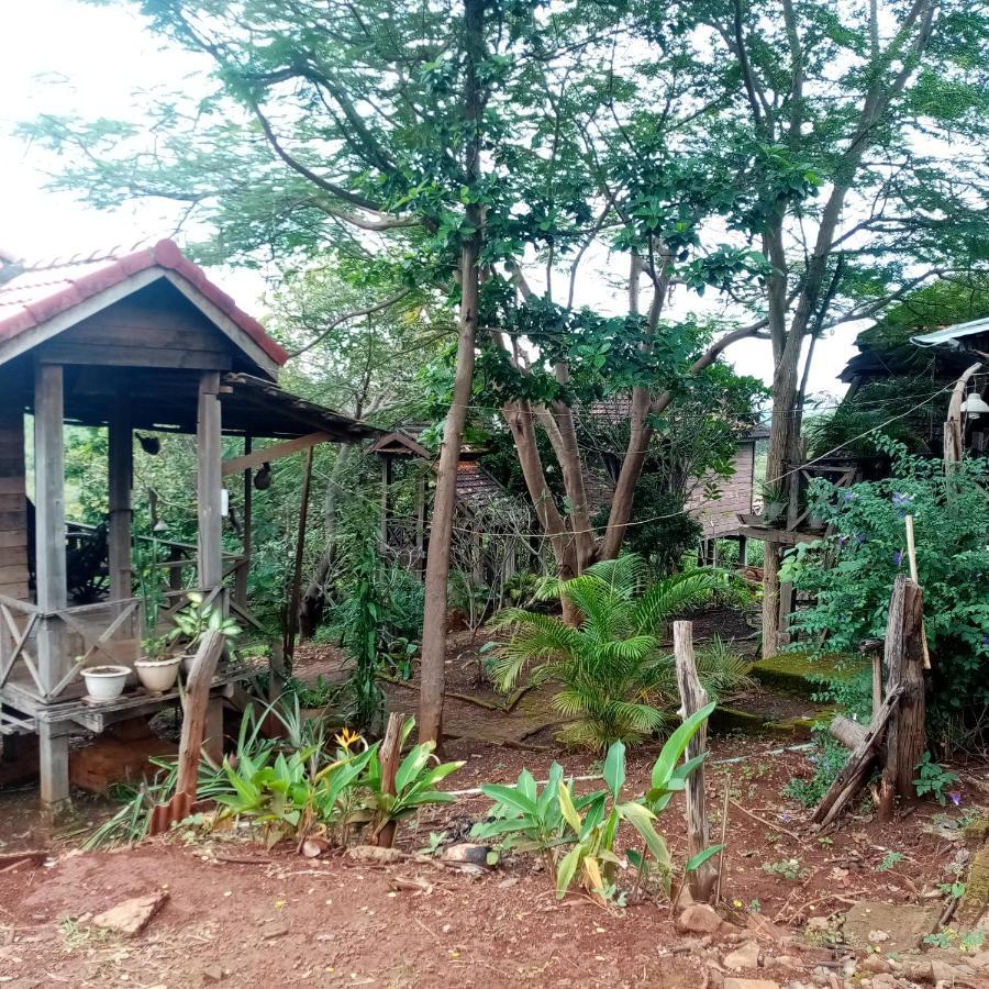 Quiet Garden View Lodge&Trekking Banlung Exteriör bild